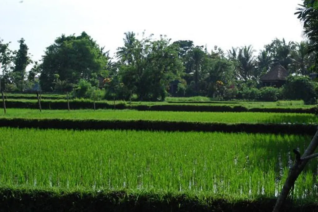 Saren Indah Hotel Ubud 3*,  Indonesia