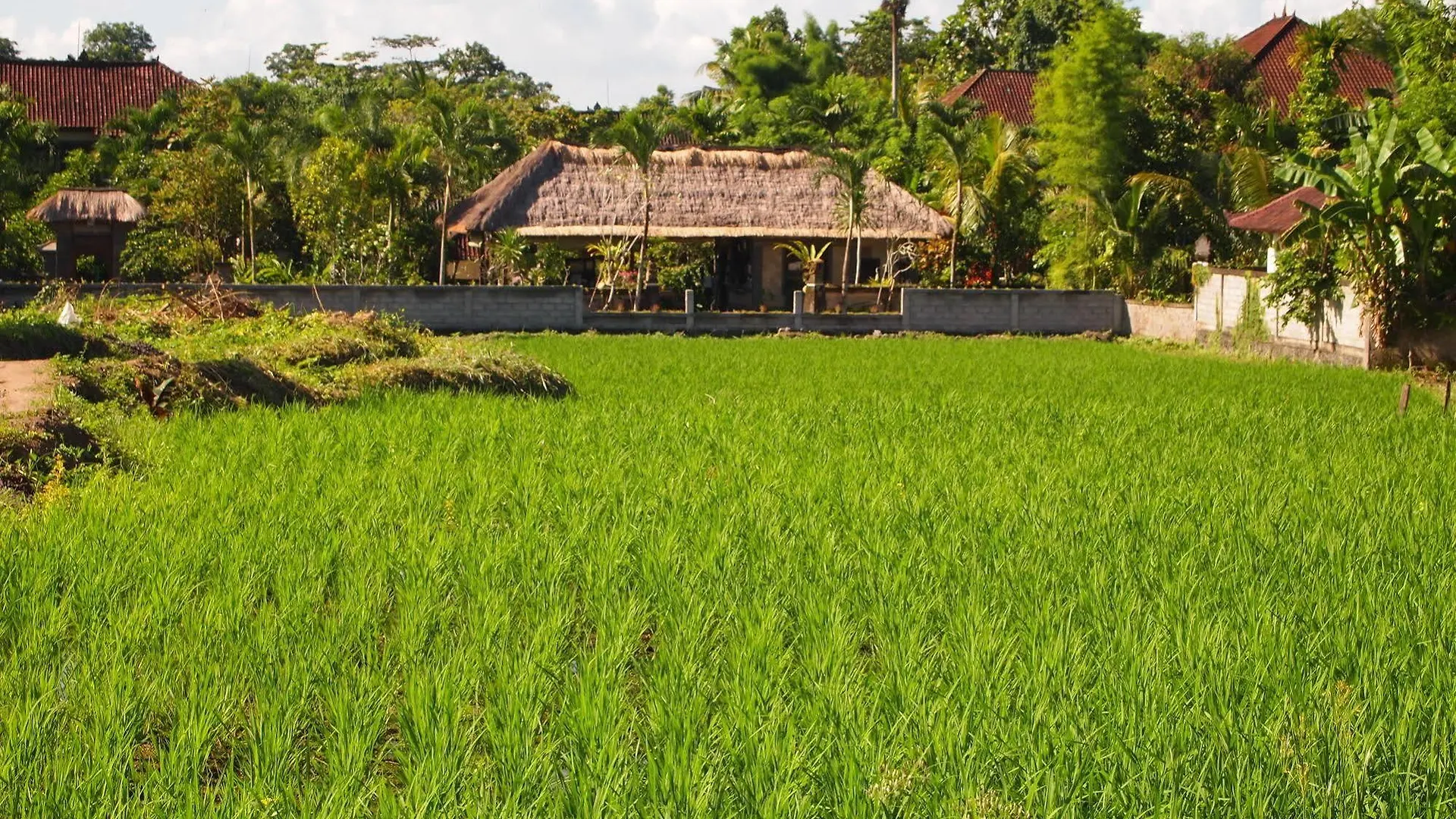 Saren Indah Hotel Ubud